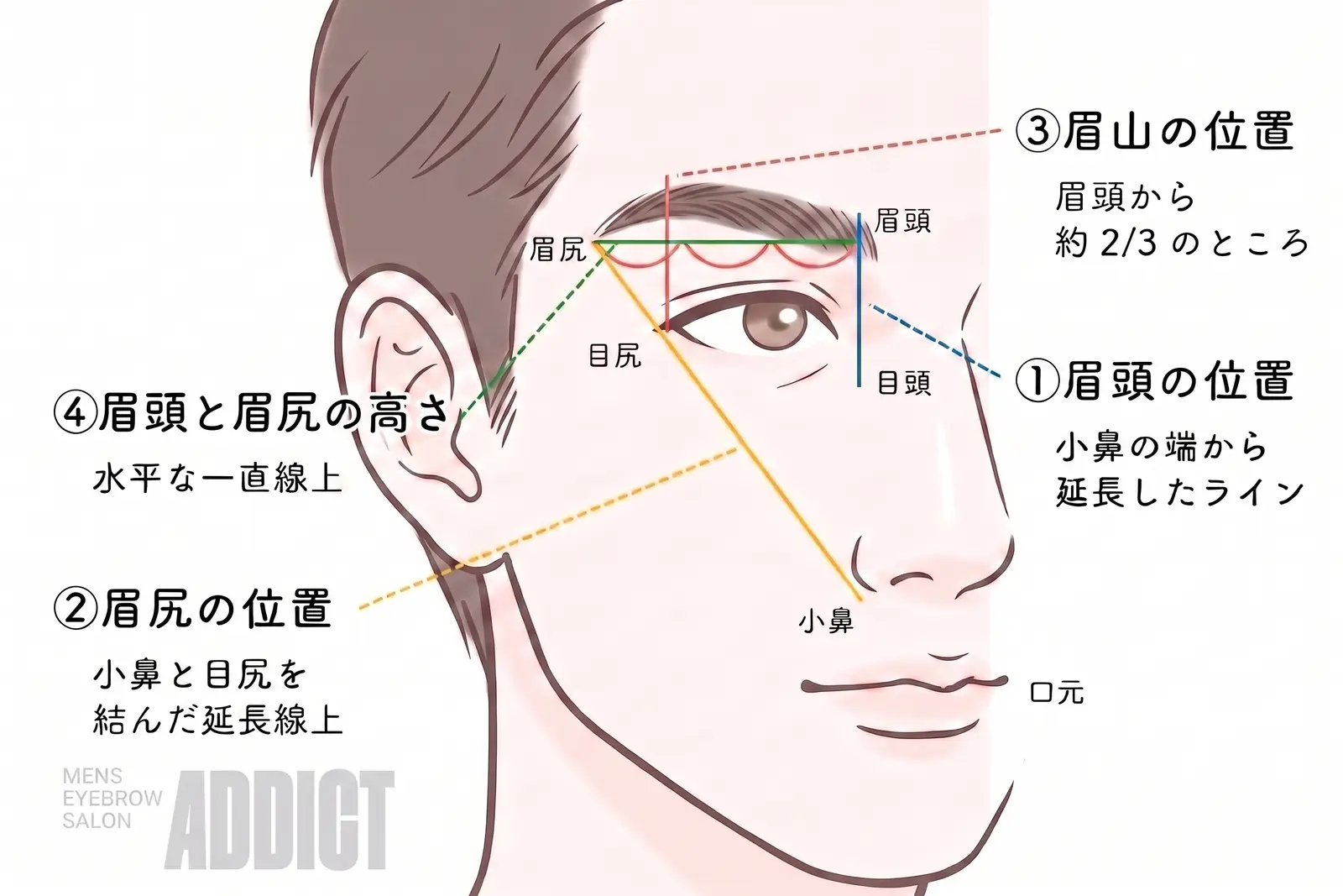 眉毛の黄金比