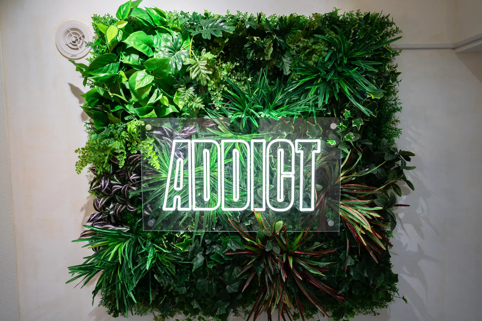 ADDICT外観