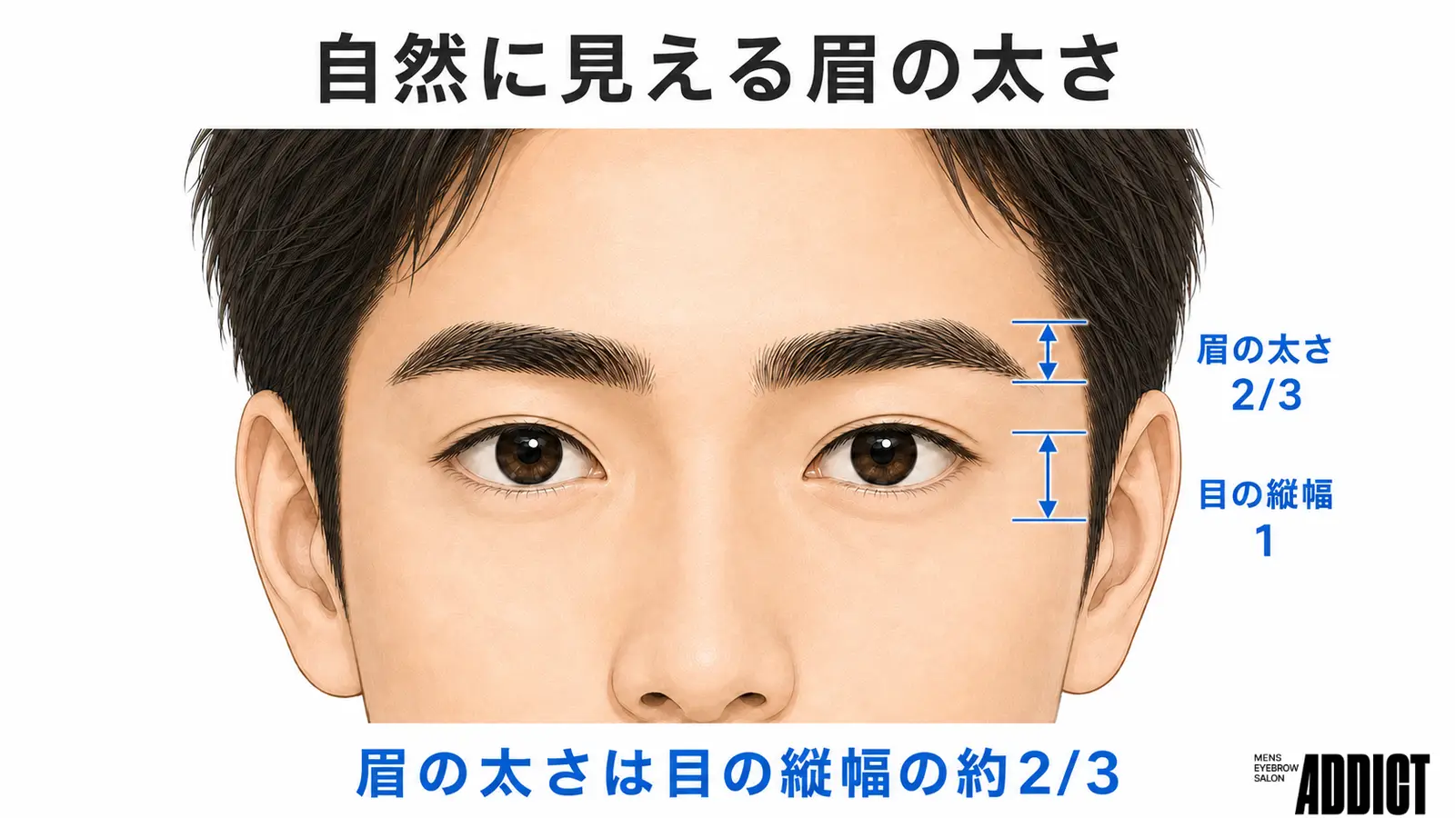 自然に見える眉の太さ