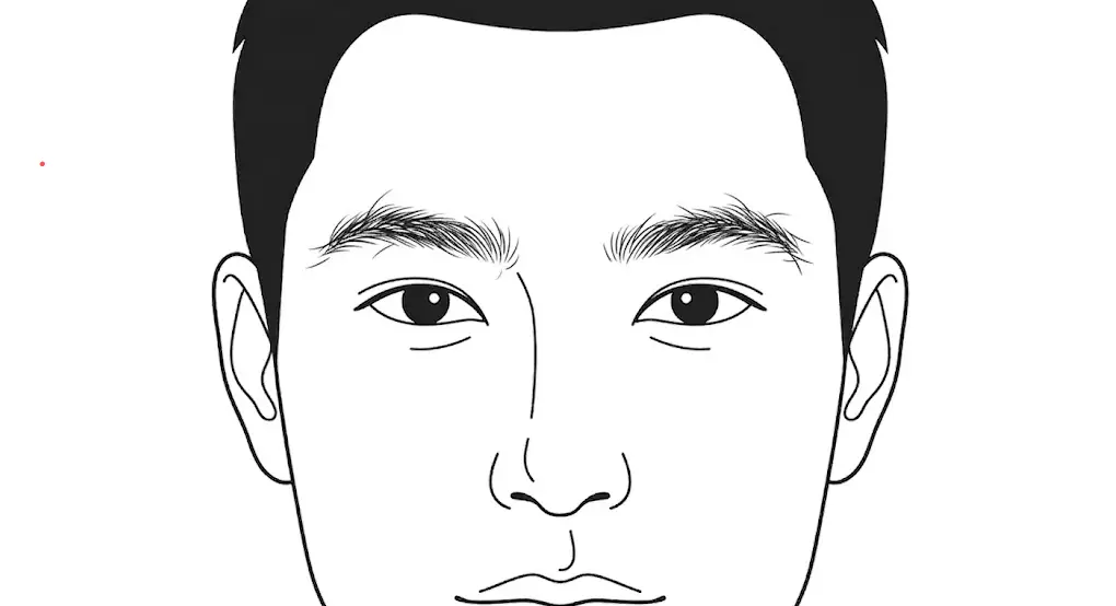 ボサボサで手入れされていない眉毛